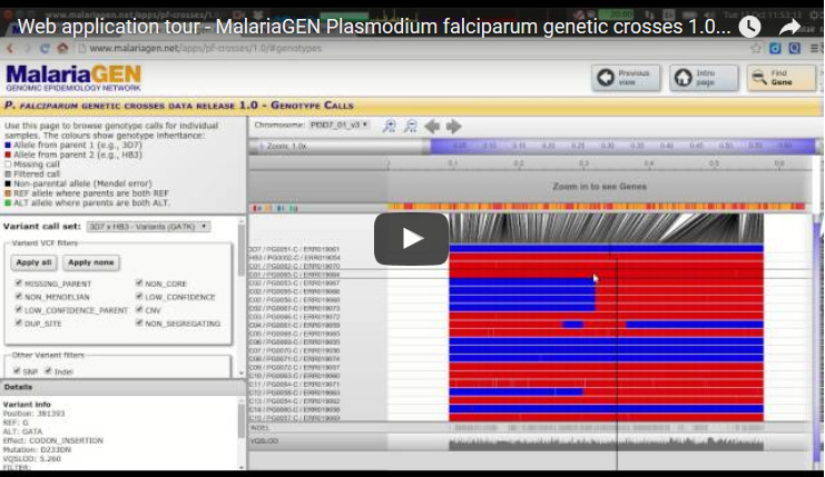 Watch a video about the P. falciparum genetic crosses web application below.